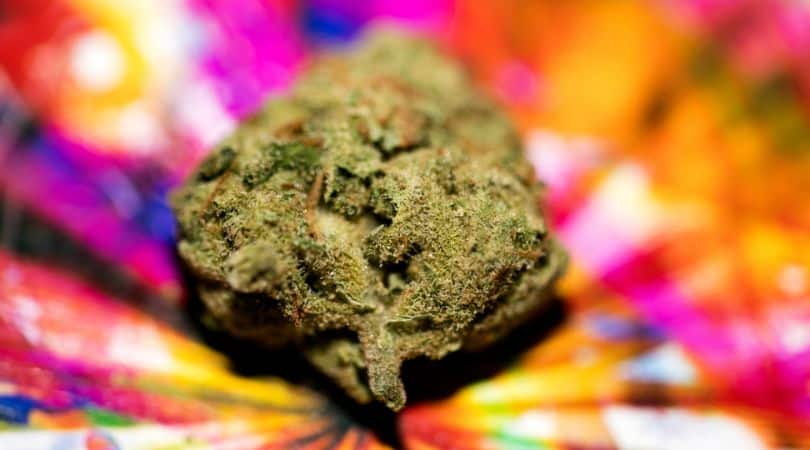 Featured image for “Delta 8 Flower: When to Smoke for Relaxation, Creativity, and Better Sleep”