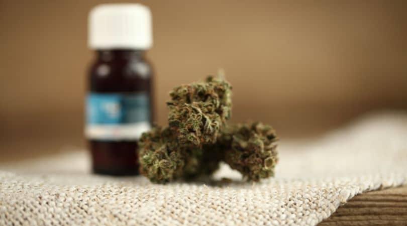Smoking Delta 8 flower works a lot like vaping, but with some subtle differences.