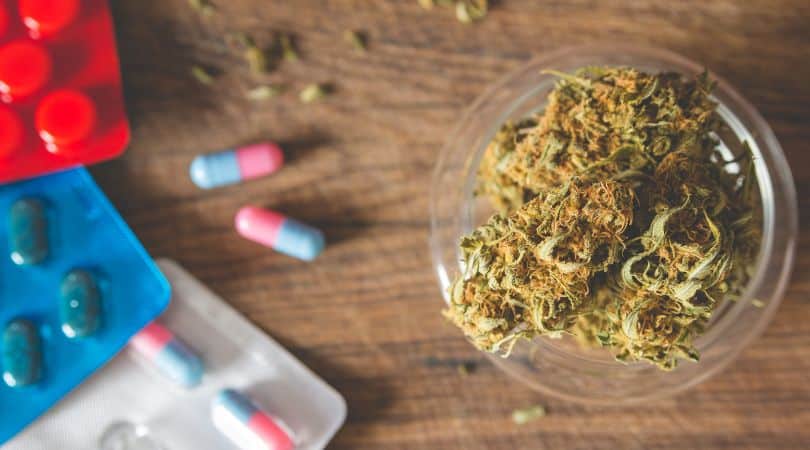 If you’re an occasional Delta 8 vape user, you’ll probably metabolize it faster. But if you’re taking Delta 8 gummies every night, THC metabolites can build up in your system, making detection times much longer.