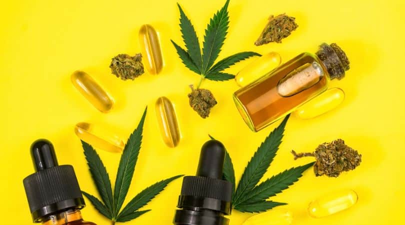 A full-spectrum CBD oil from the hemp plant contains CBD and other compounds like essential oils, terpenes, and trace amounts of THC (less than 0.3% in the US and 0.2% in the UK).