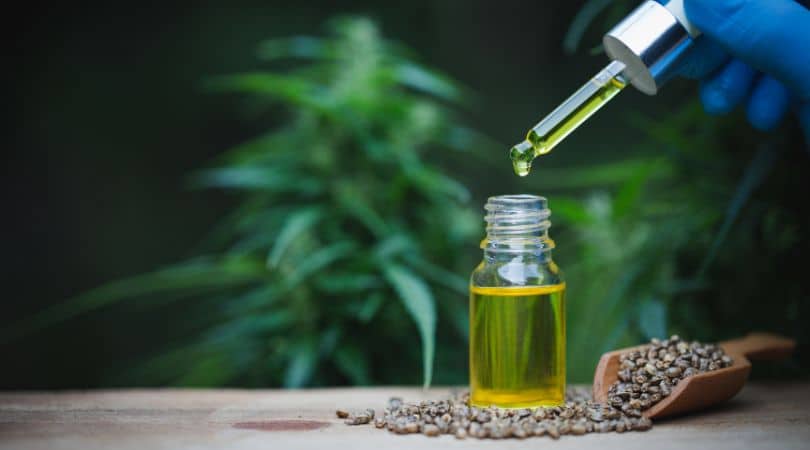 Manufacturers create hemp oil, or hemp seed oil, by cold-pressing the seeds. Unlike CBD oil, hemp oil contains no meaningful levels of cannabinoids like CBD or THC. Instead, this precious oil contains a dense nutritional profile.