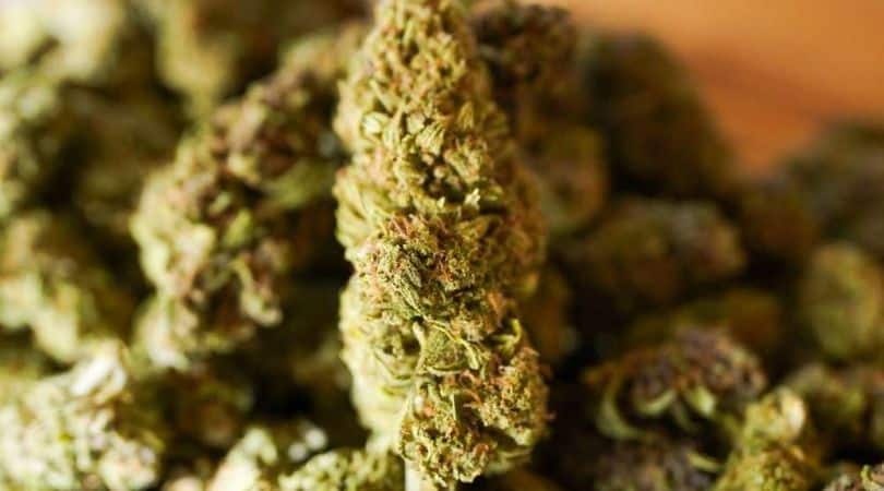 Hemp flower is an ingenious way of enjoying the therapeutic benefits of cannabis without getting high.Discover the top ways to enjoy delta 8.