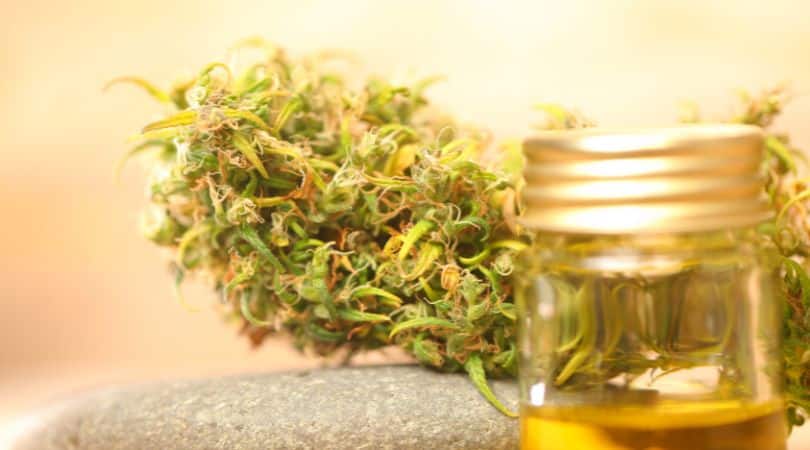 CBD, or cannabidiol, comes from the hemp plant. Unlike THC, CBD doesn't make you high.