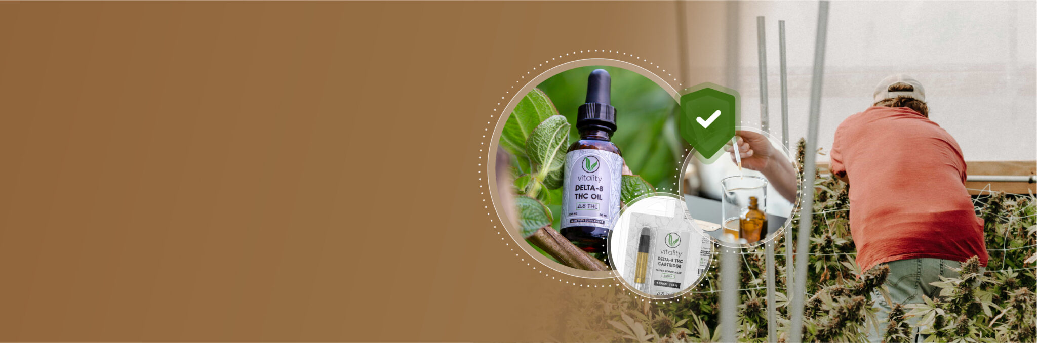 Hand holding a bottle of Vitality CBD oil.
